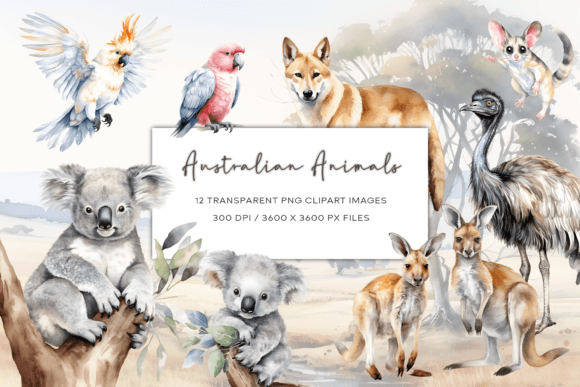 Download Australian Watercolor Animals Clipart - Watercolor animals Collection